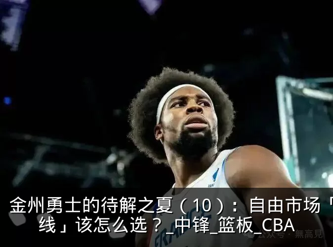 金州勇士的待解之夏（10）：自由市场「内线」该怎么选？_中锋_篮板_CBA