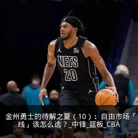 金州勇士的待解之夏（10）：自由市场「内线」该怎么选？_中锋_篮板_CBA