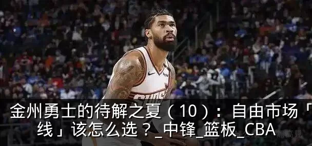 金州勇士的待解之夏（10）：自由市场「内线」该怎么选？_中锋_篮板_CBA